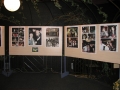 Stand 5