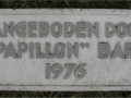 Tegel Dug-out HHC Papillon